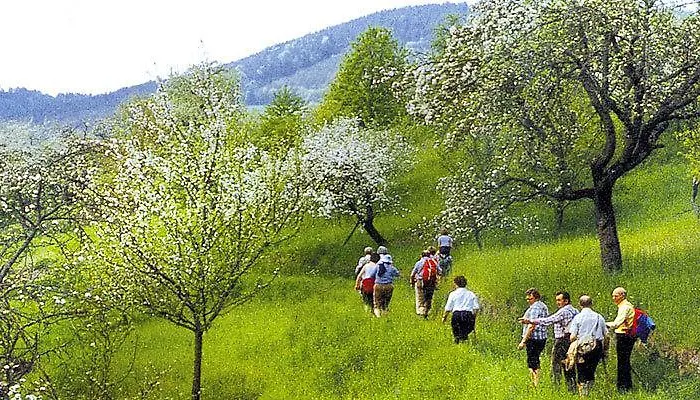 Hubertushof Hotel 3*