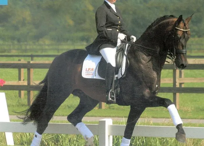 Hubertushof Lichtenau (Westphalia)